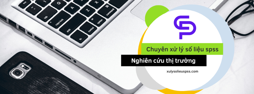 banner xu ly so lieu spss.png 2